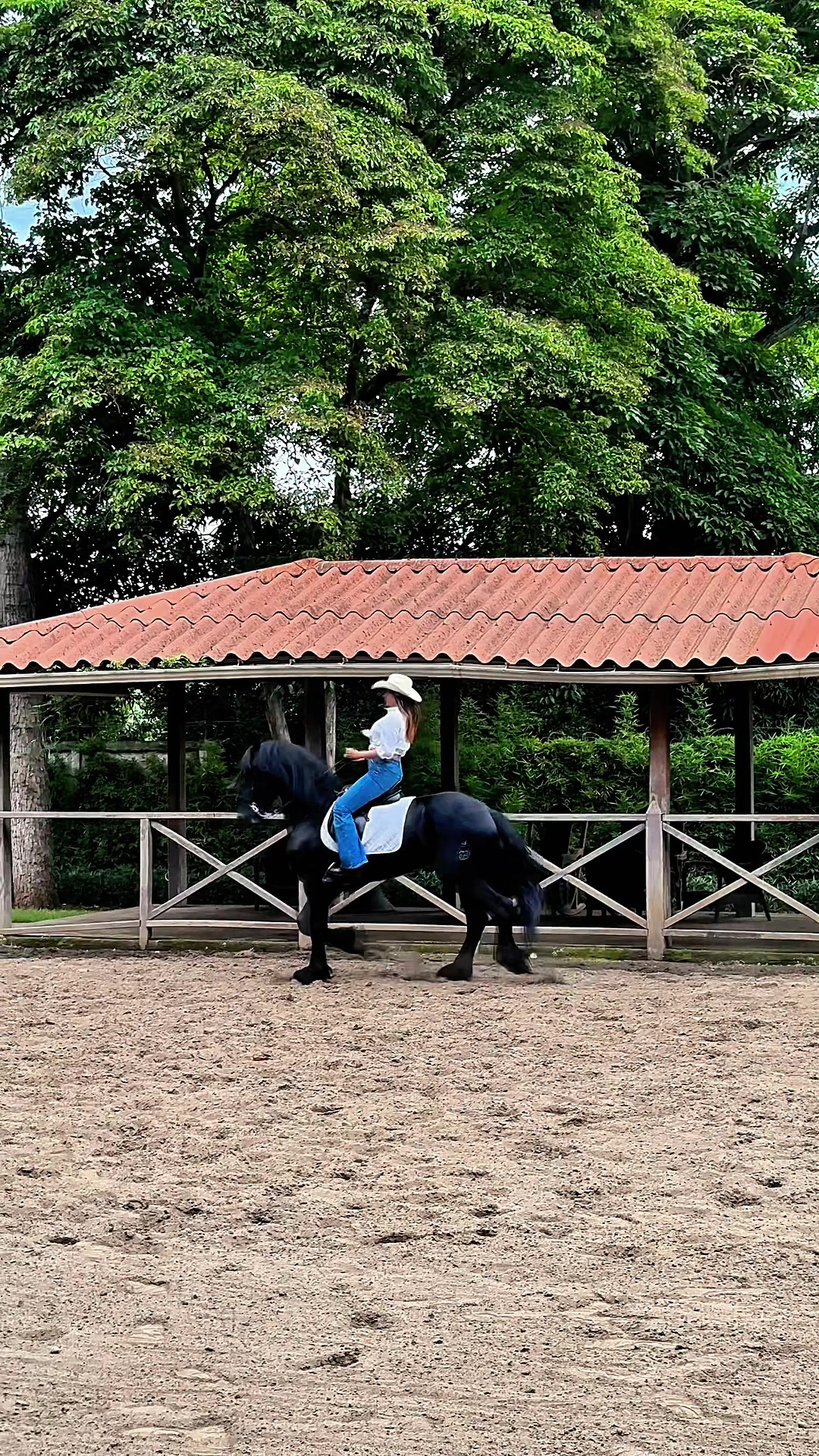 @Cortijo de la Z