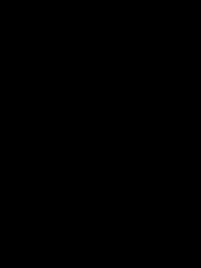 @Elegancia Fotográfica