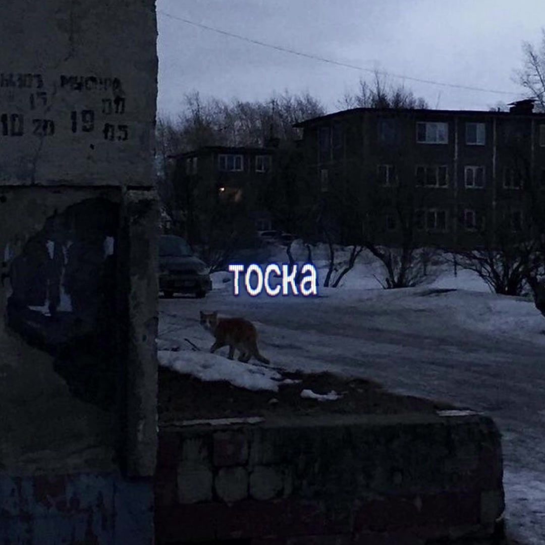 @Гоголь V