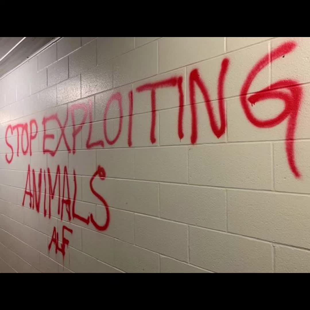 @anti tcc