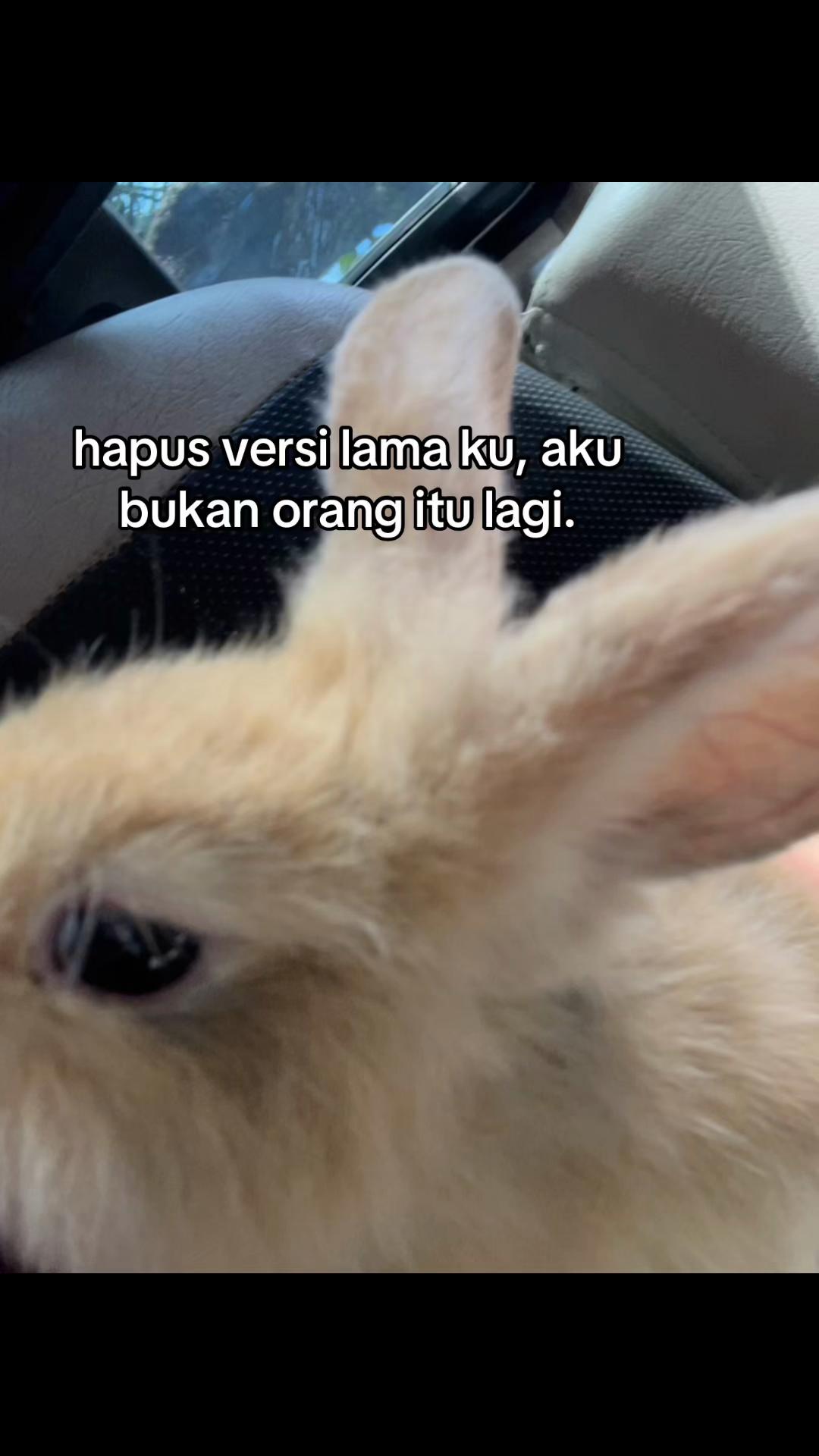 @celynn🐳