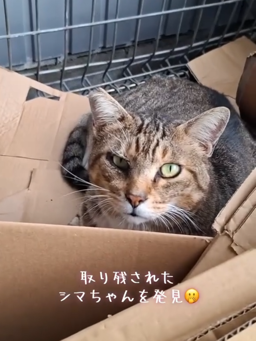 @【公式】株式会社真宮|三重