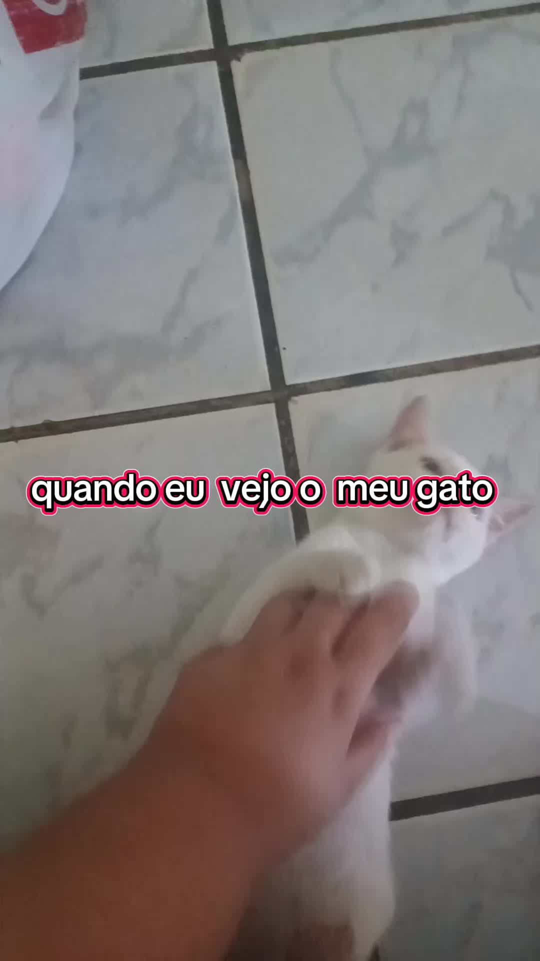 @Andreza Correia de oliveira