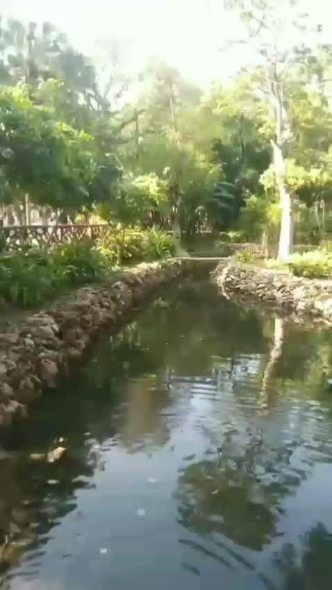 @Anoosha.queen