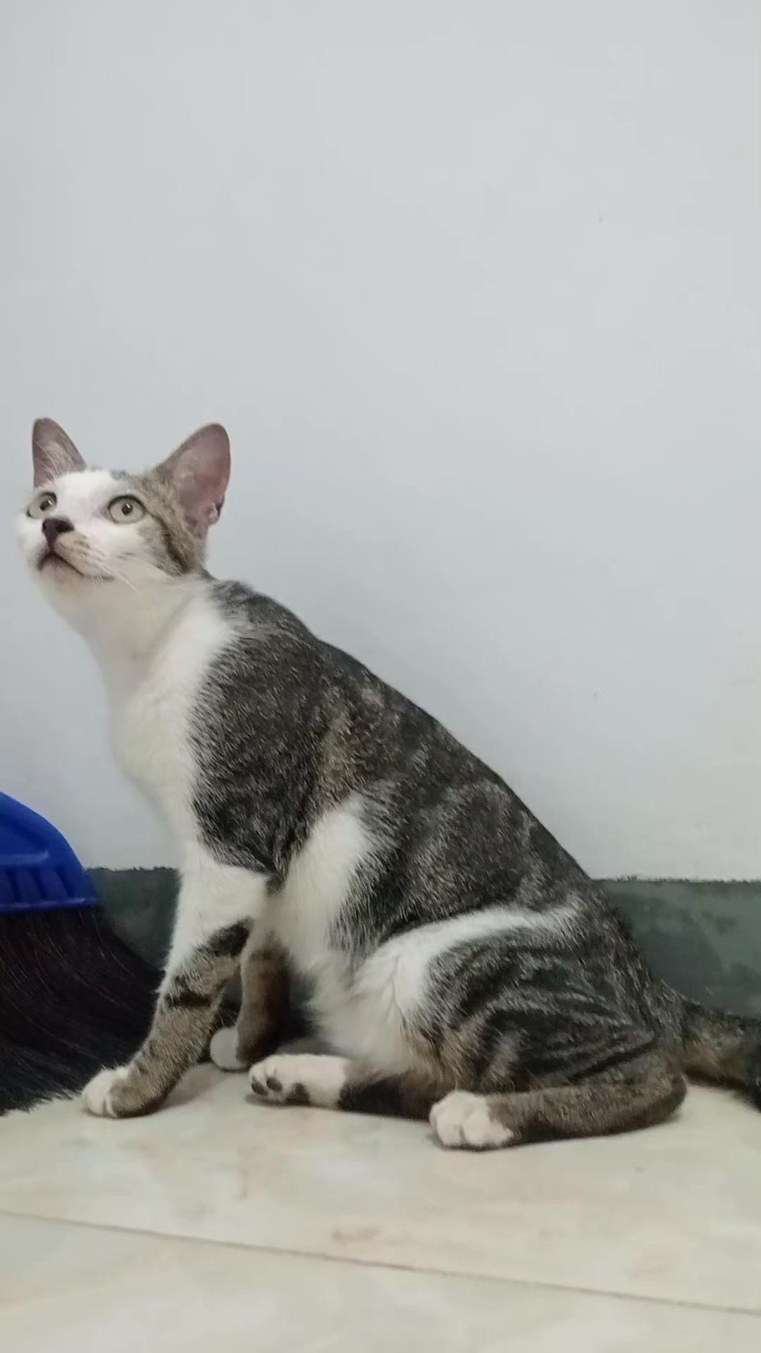 @Rizqi