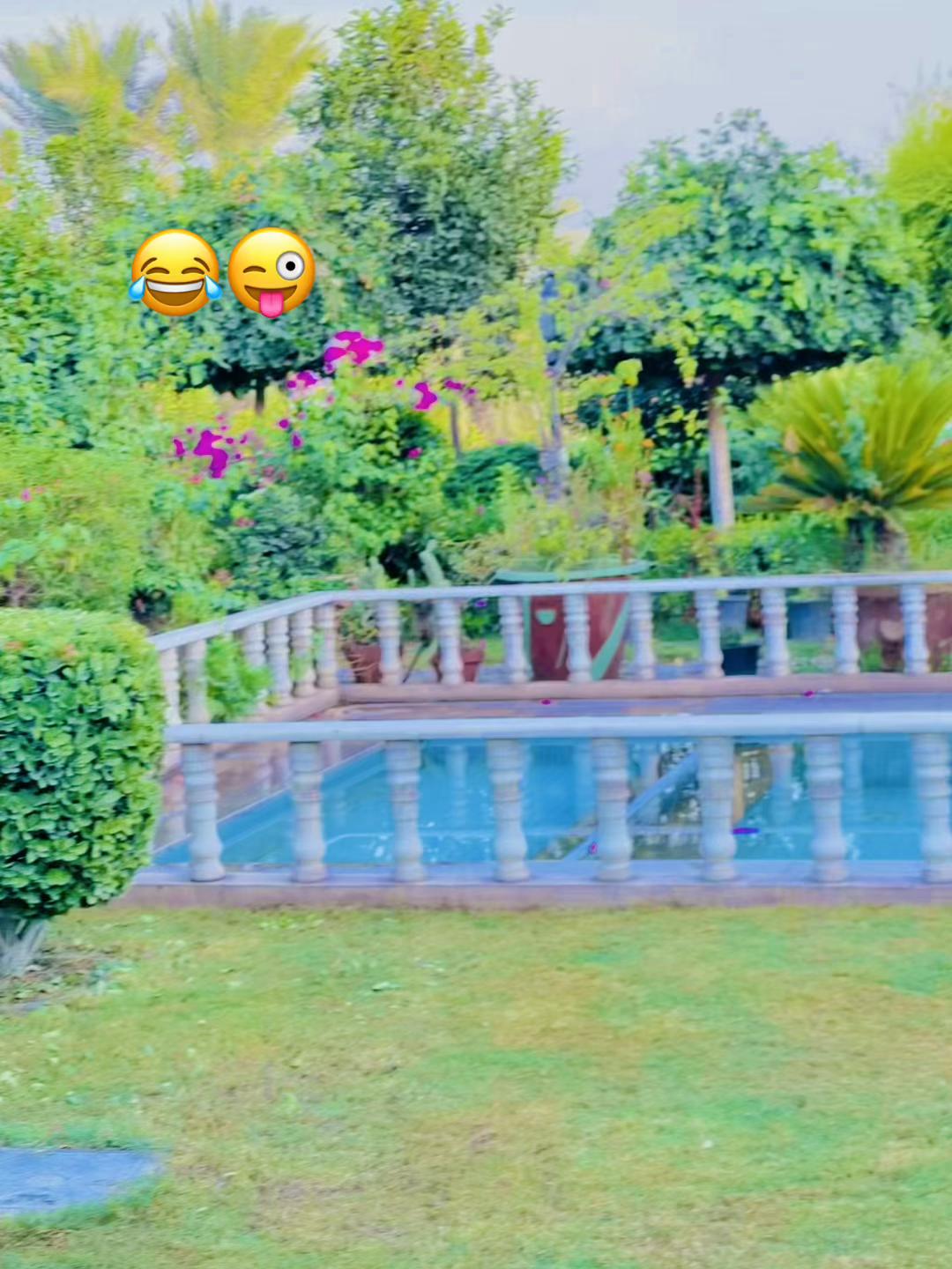 @Zaheer 🫶🇦🇫khan ?””%