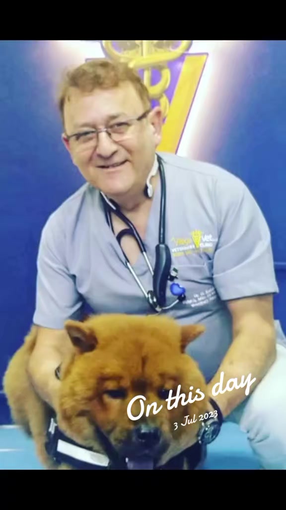 @VillagevVet LLC