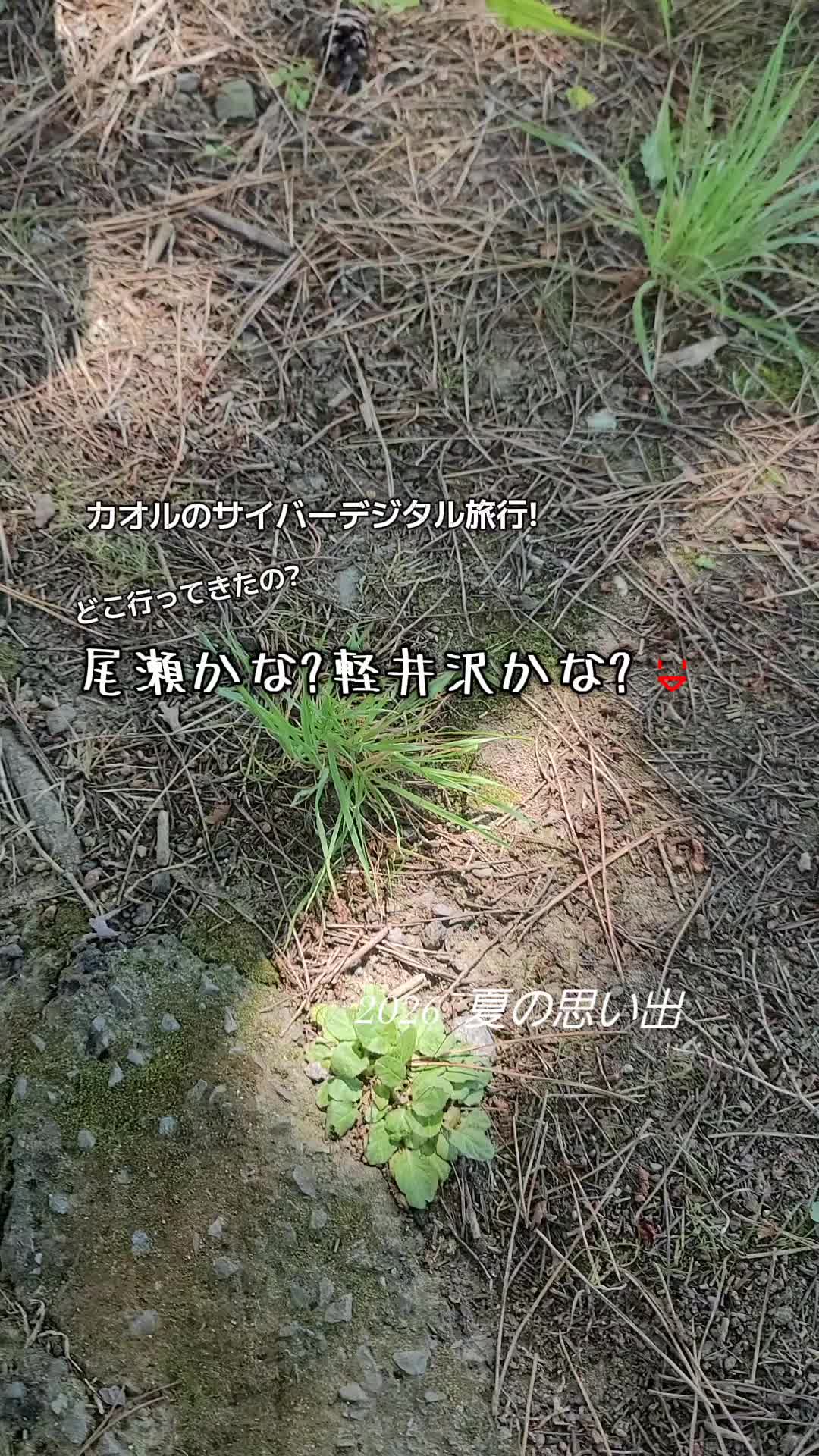 @cjカオル