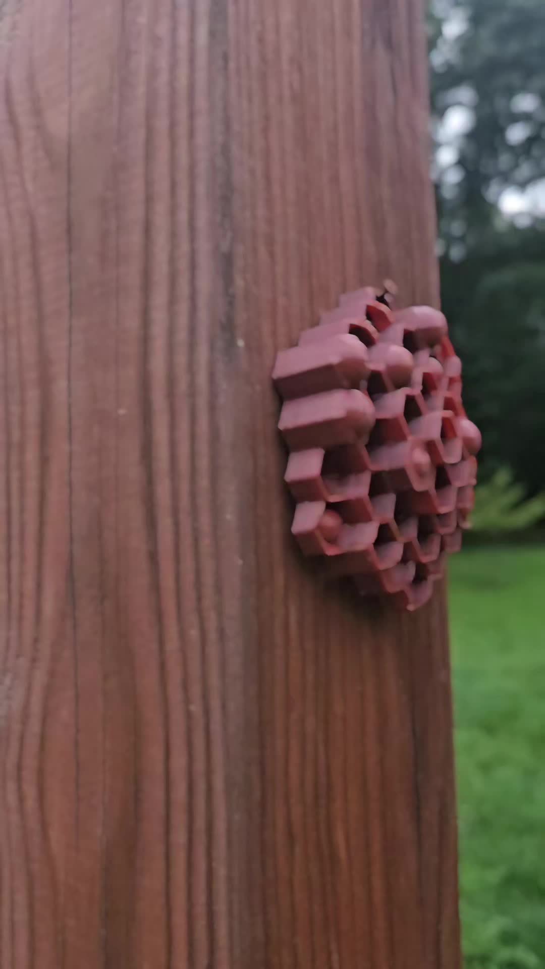 @TigerDog3D