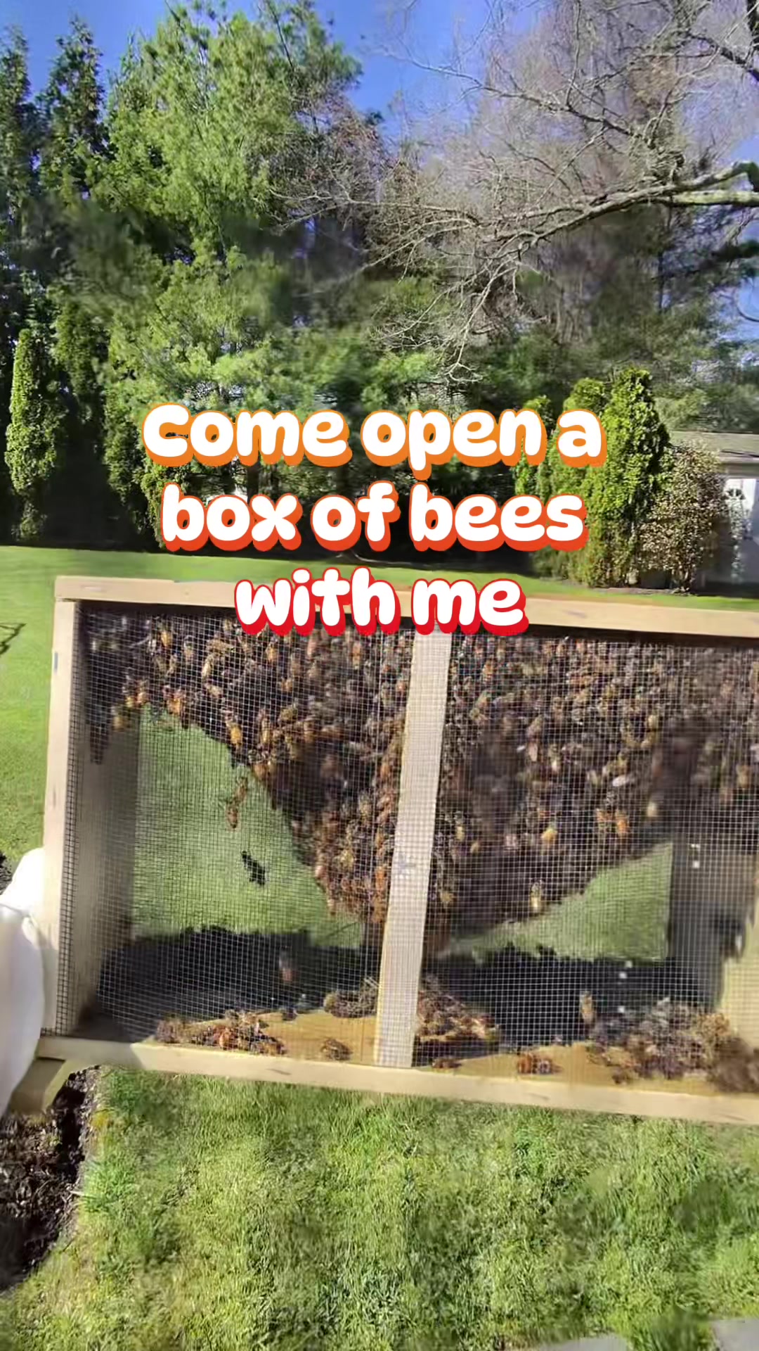 @homewithlogan