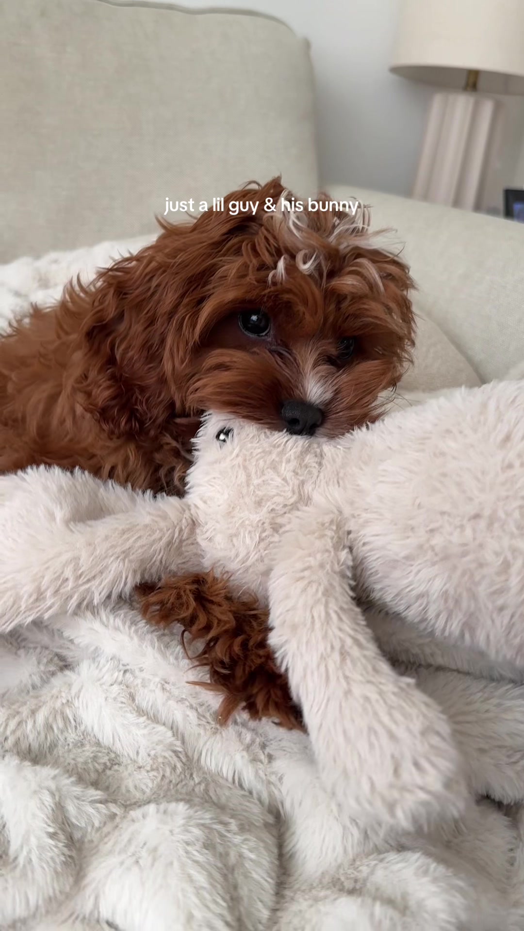 @lennie 🐶