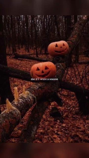 @ᵀᴴᴱCнαԀ🦂 🫀🪓 🥔