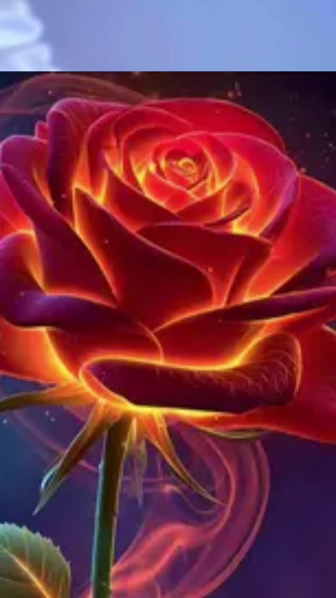 @♡&bull;( 𝓜𝓮𝓵𝓲  )&bull;♡