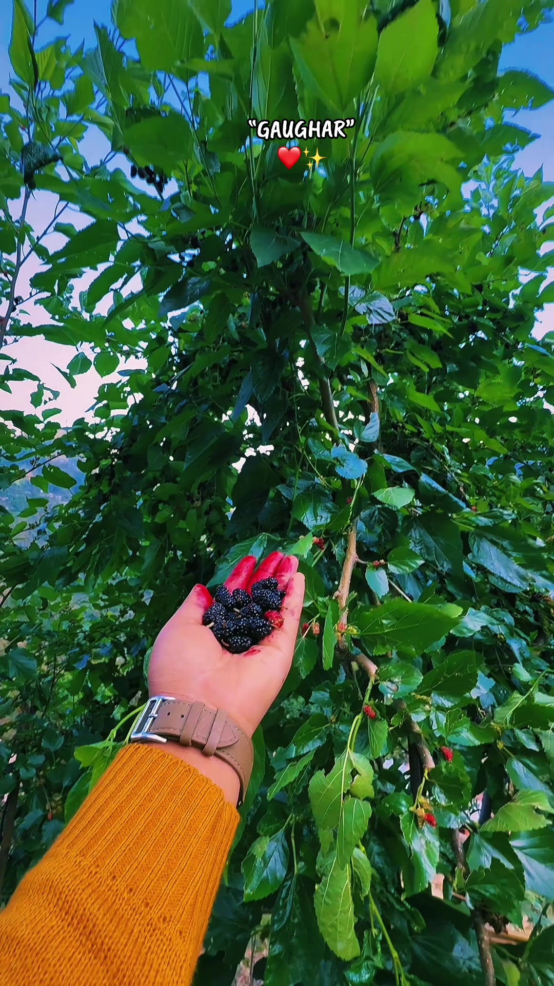 @रन्जना🍒