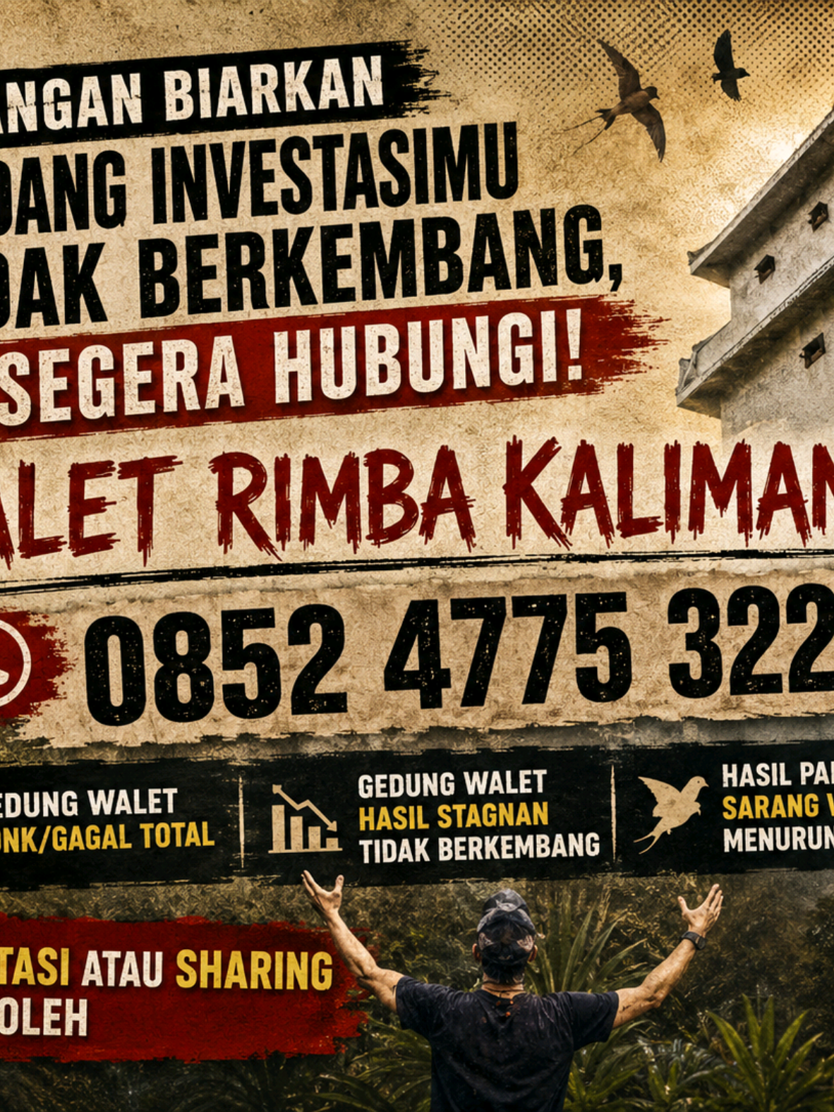 @Walet Rimba Kalimantan