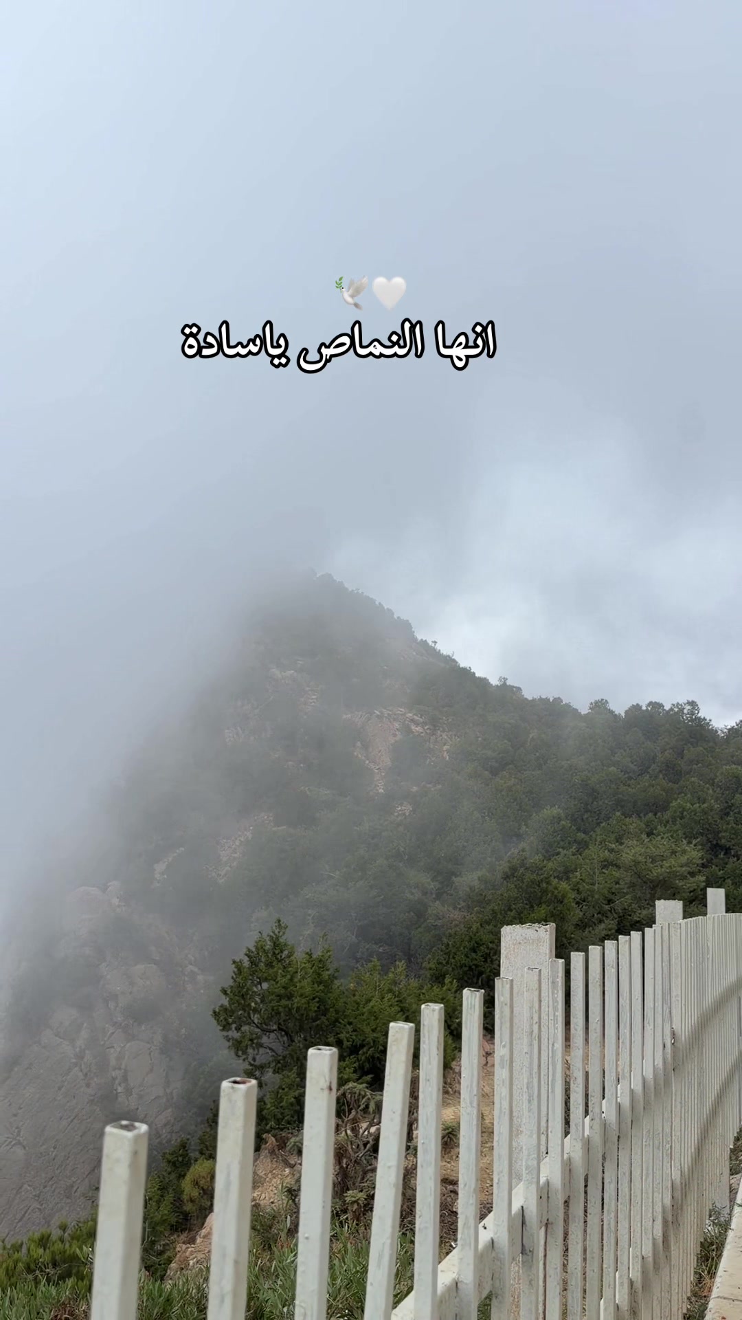 @بنت الطبيعة 🍃🕊️