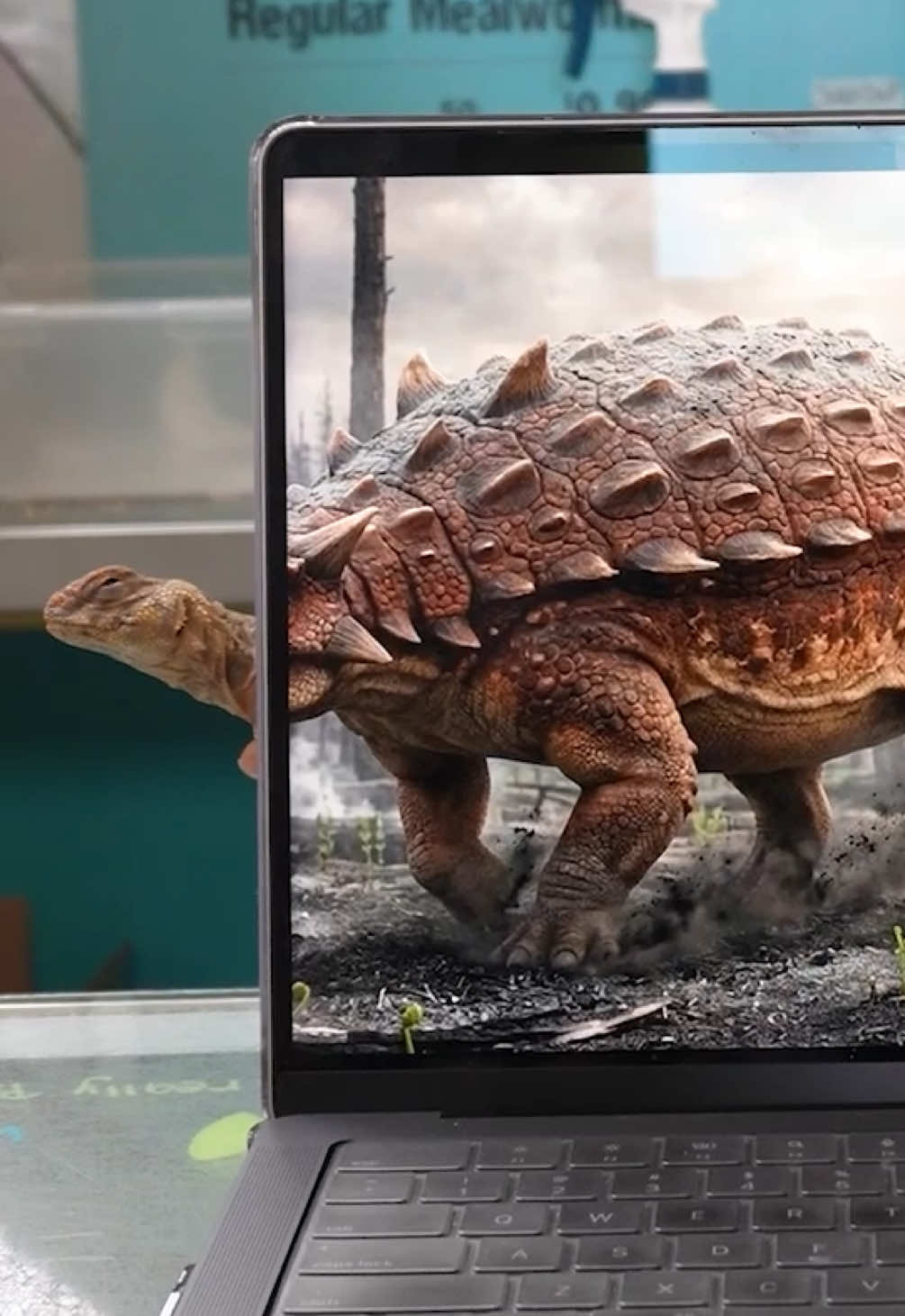 @All Reptiles