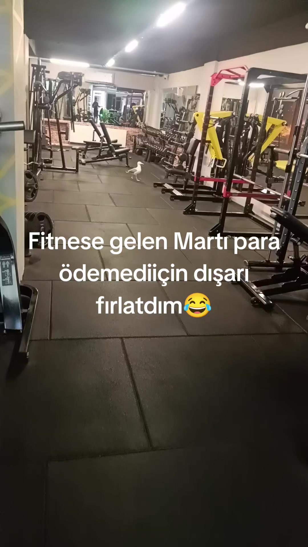 @Emre.Hoca5052