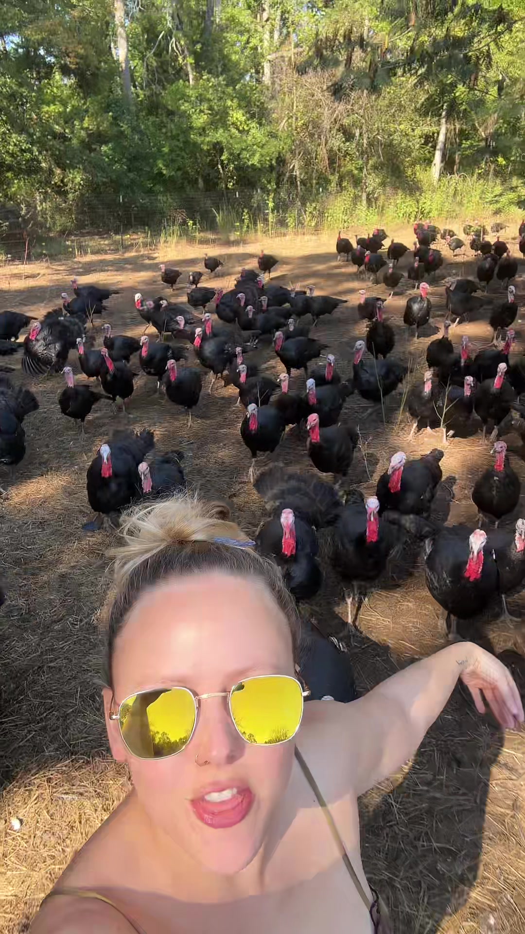 @farmerandtheharpiist
