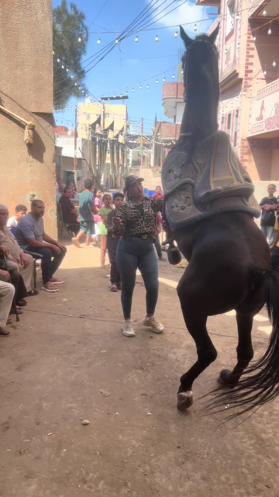 @الكابتن عبير🐎🥇🏆