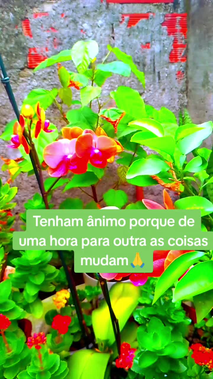@Erikinha 💃🤠