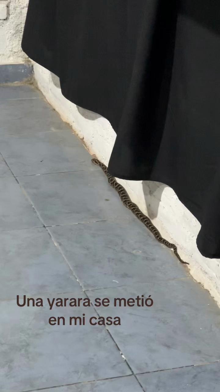 @Zoe Miranda