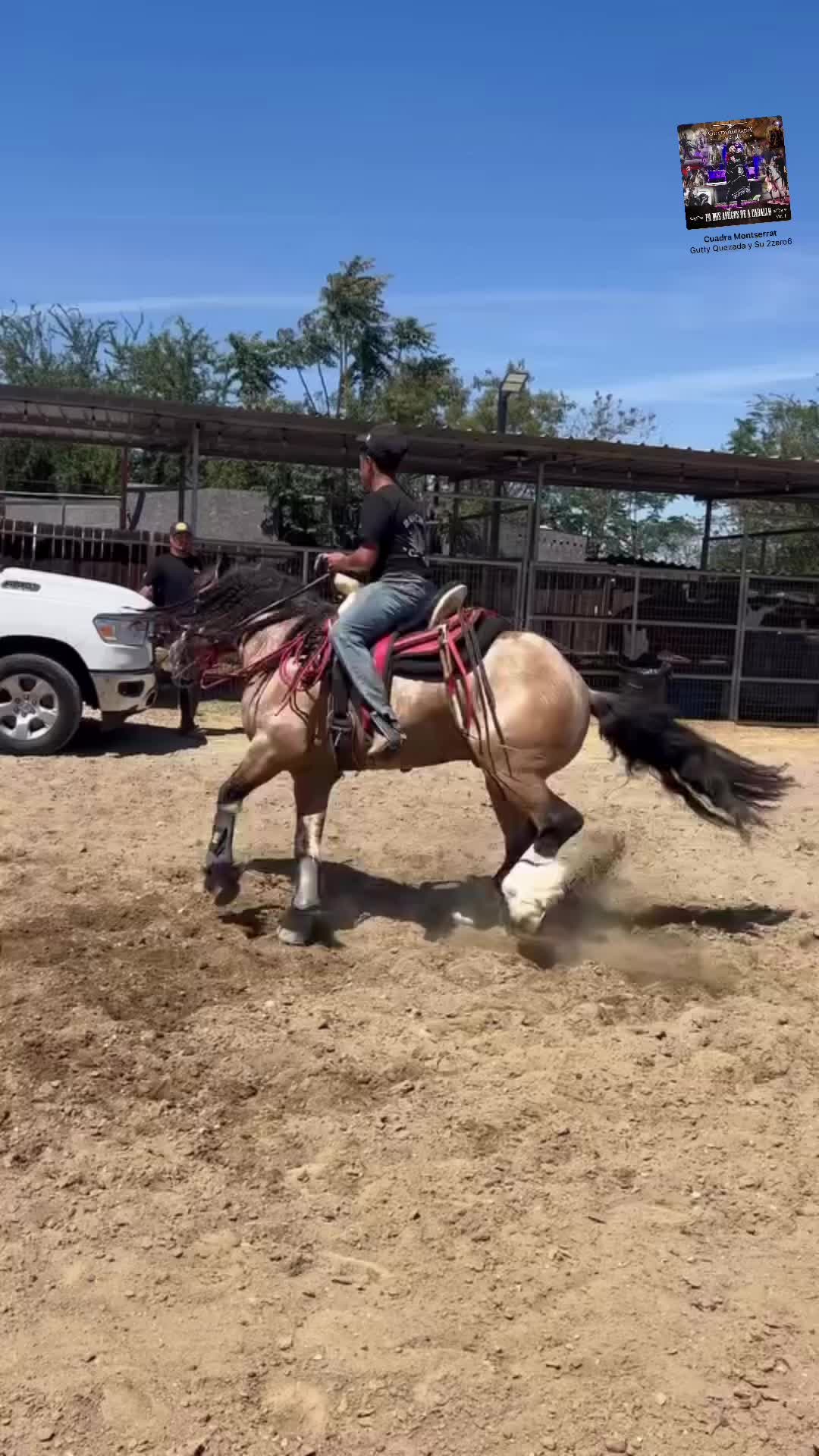 @compa_richhh