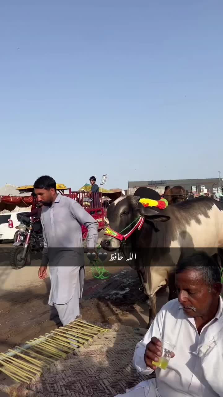 @♨💔Moحsiن Sethi💔♨