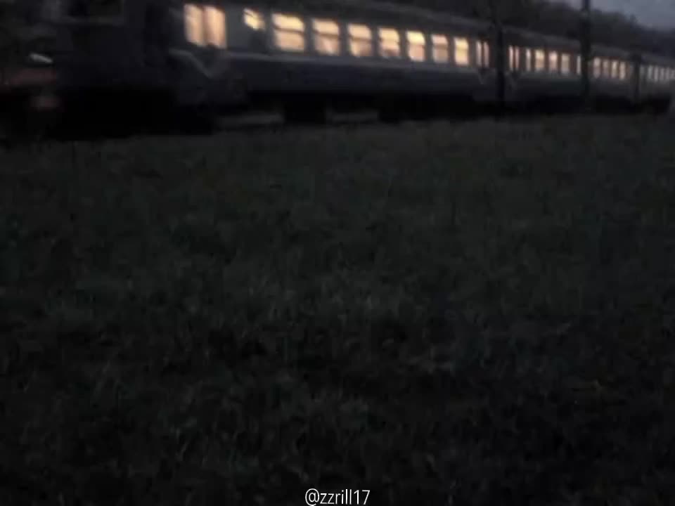 @zzrill17🐈&zwj;⬛