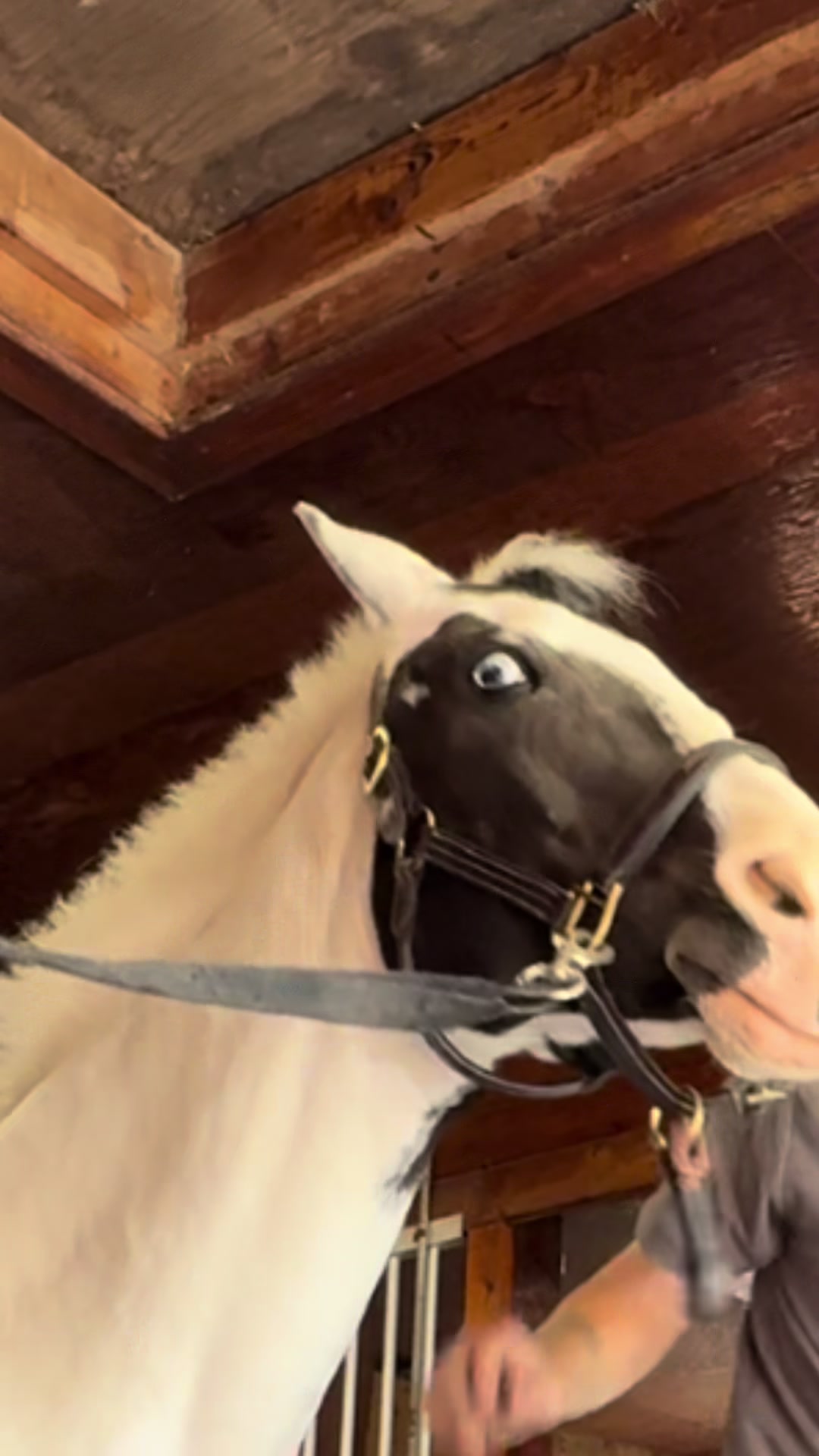 @jakethefarrier_