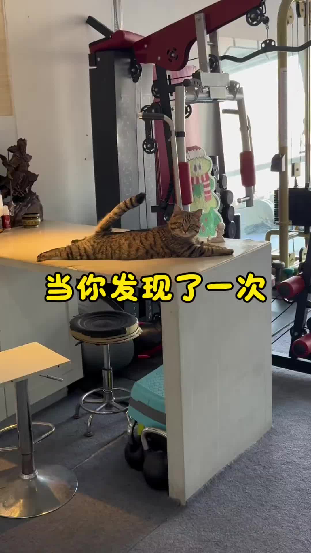 @平凡無奇
