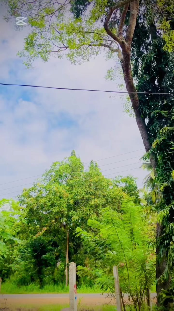 @අප්සරාවී Unlimited (VVIP)