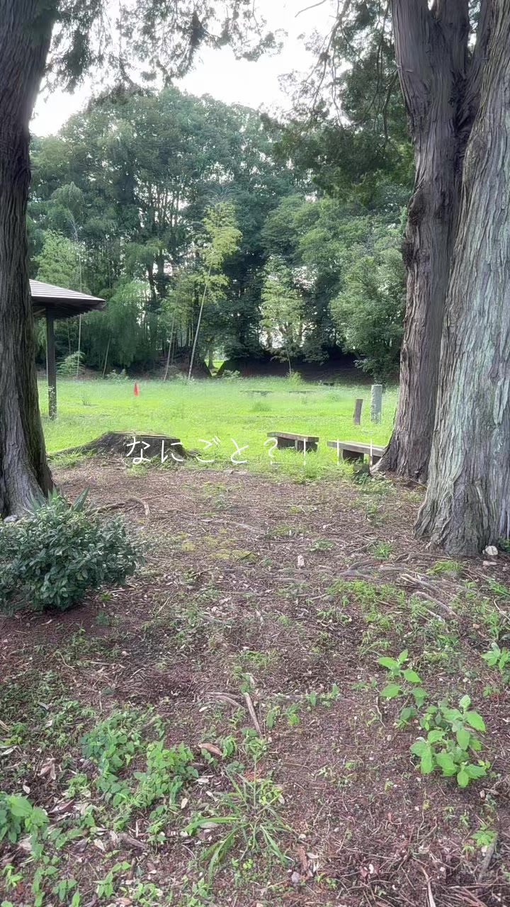 @さといも🥥