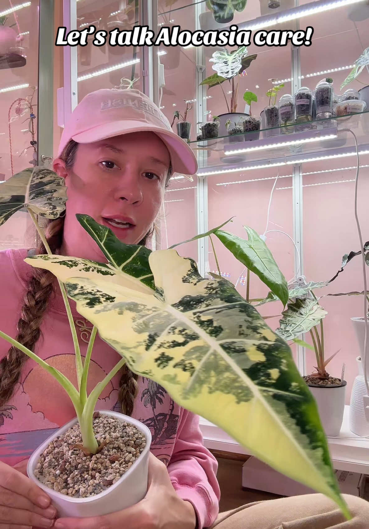 @Erin&ensp;Keys&ensp;-&ensp;TheBoujeeGreenhous