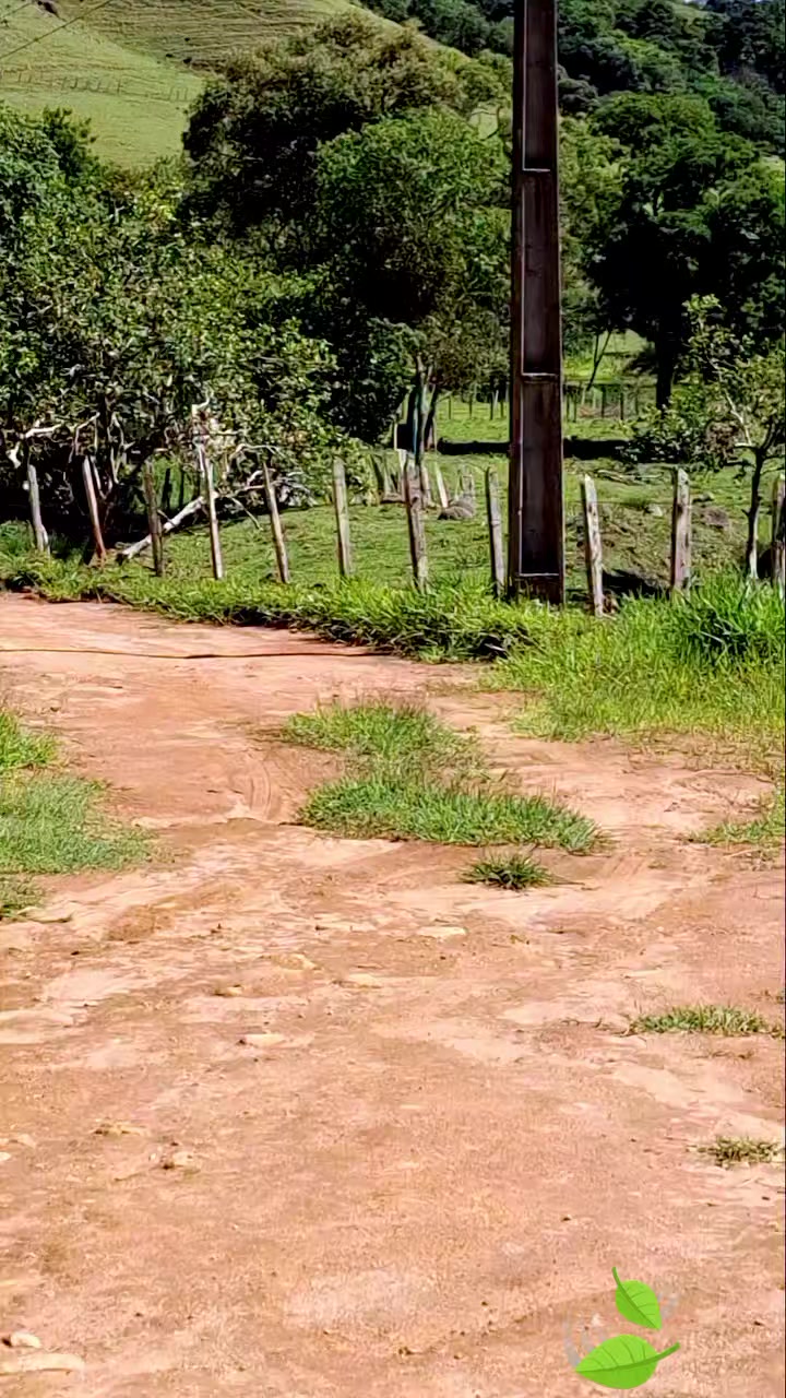 @Beatriz Dias