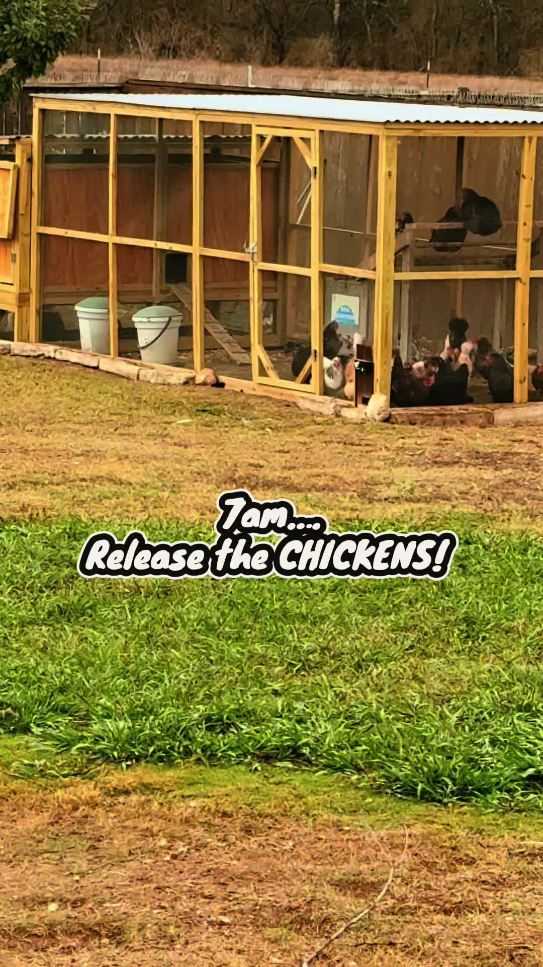 @Only_Fowls
