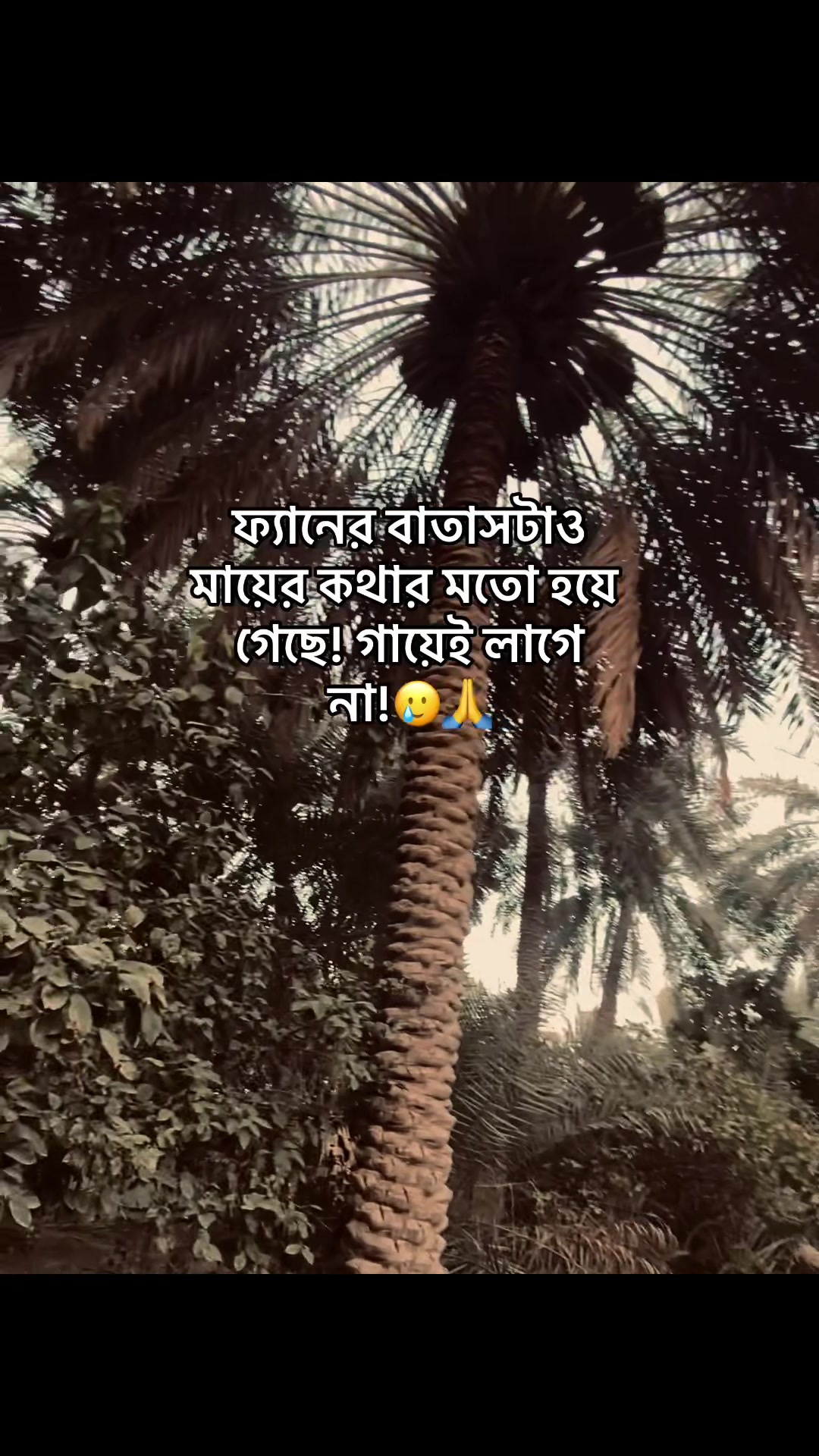 @Sᴏᴍᴇᴏɴᴇ 