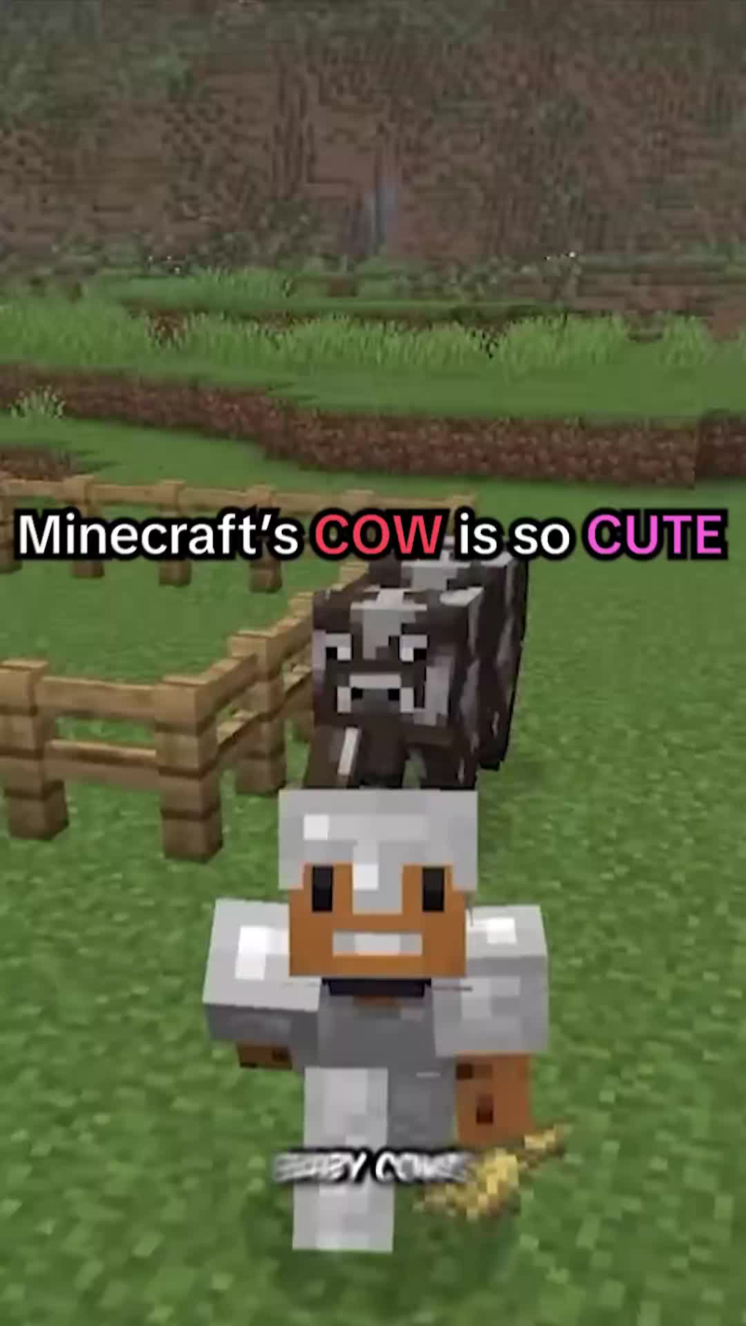 @aCookieGod