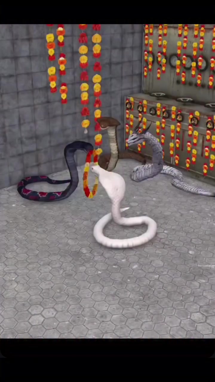 @🧲