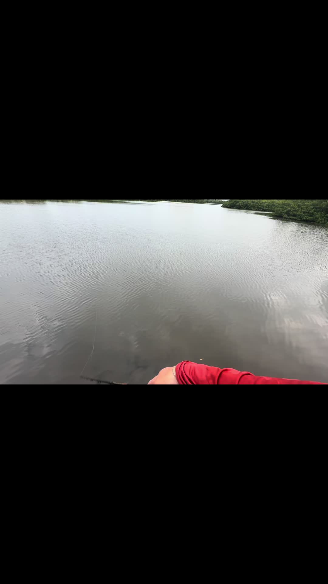 @Gotitfishing