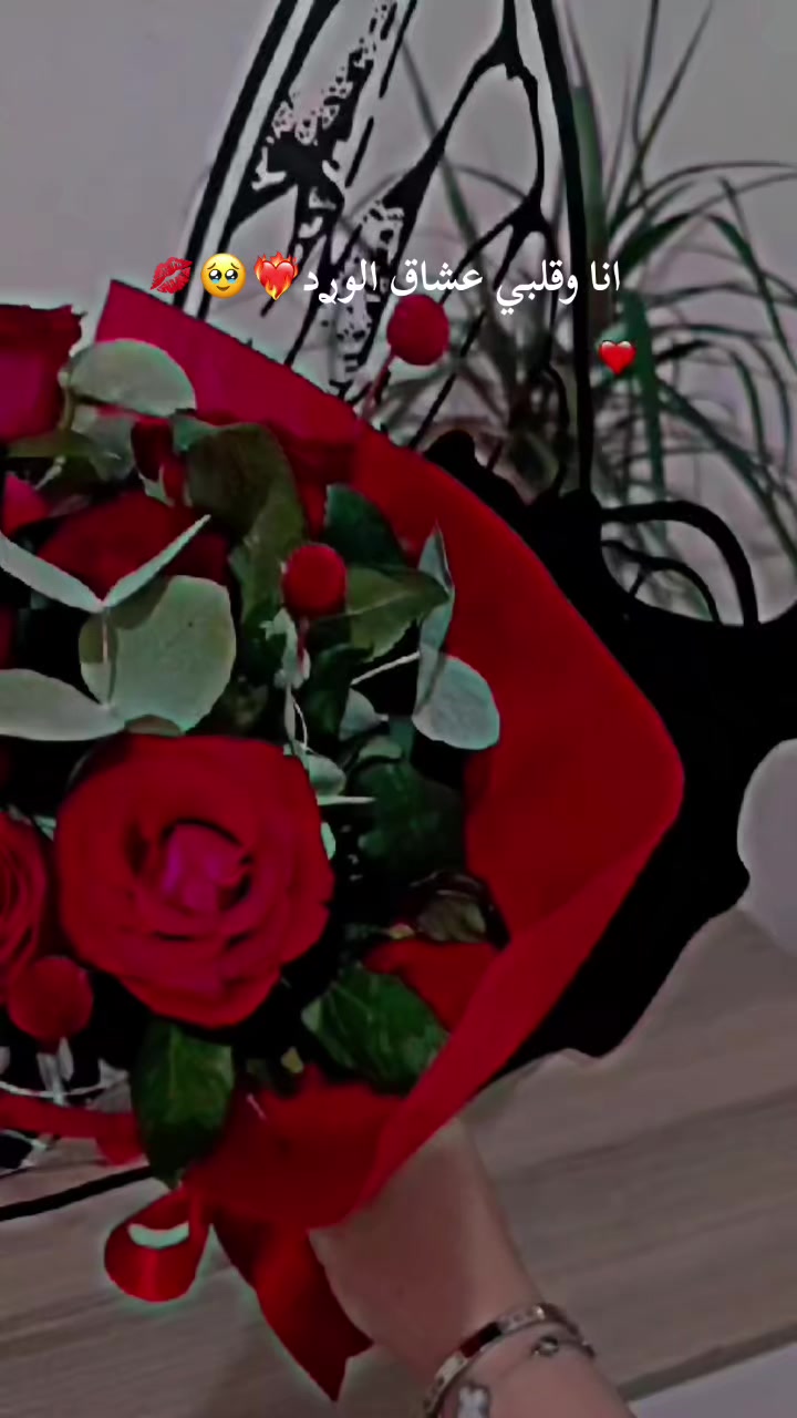 @♯̶الـ حݪۅهههۃة 𝓕🌸