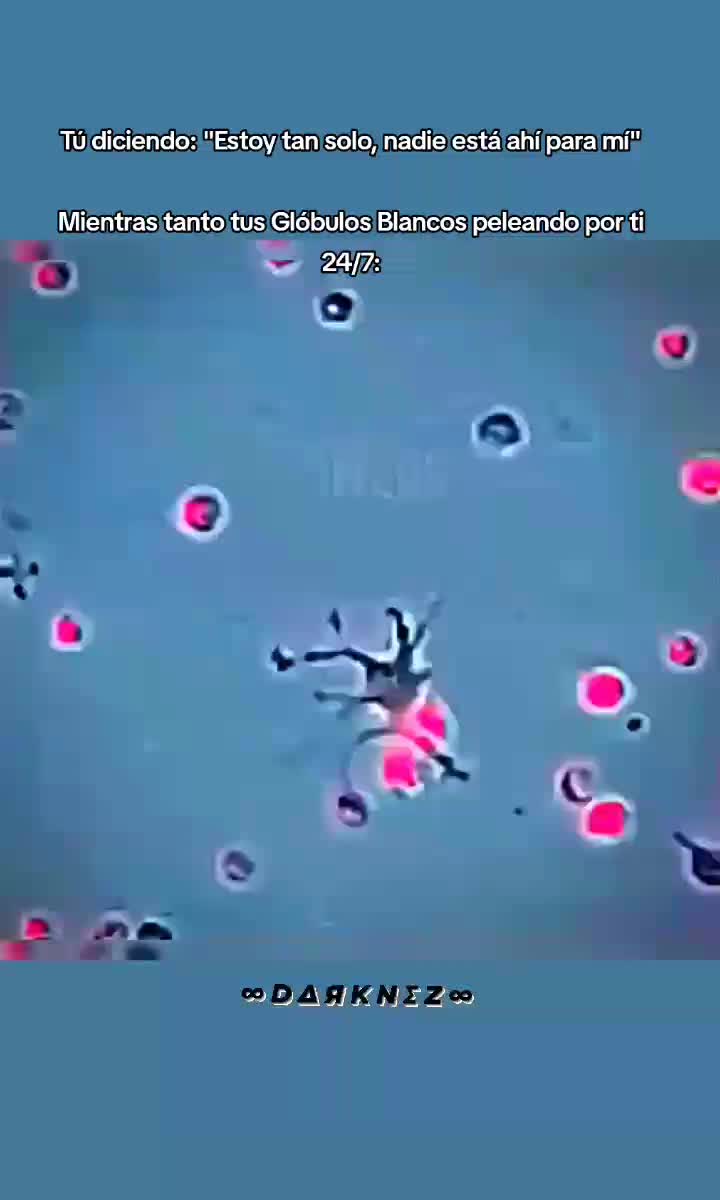 @D ∆ Я K N Σ Z