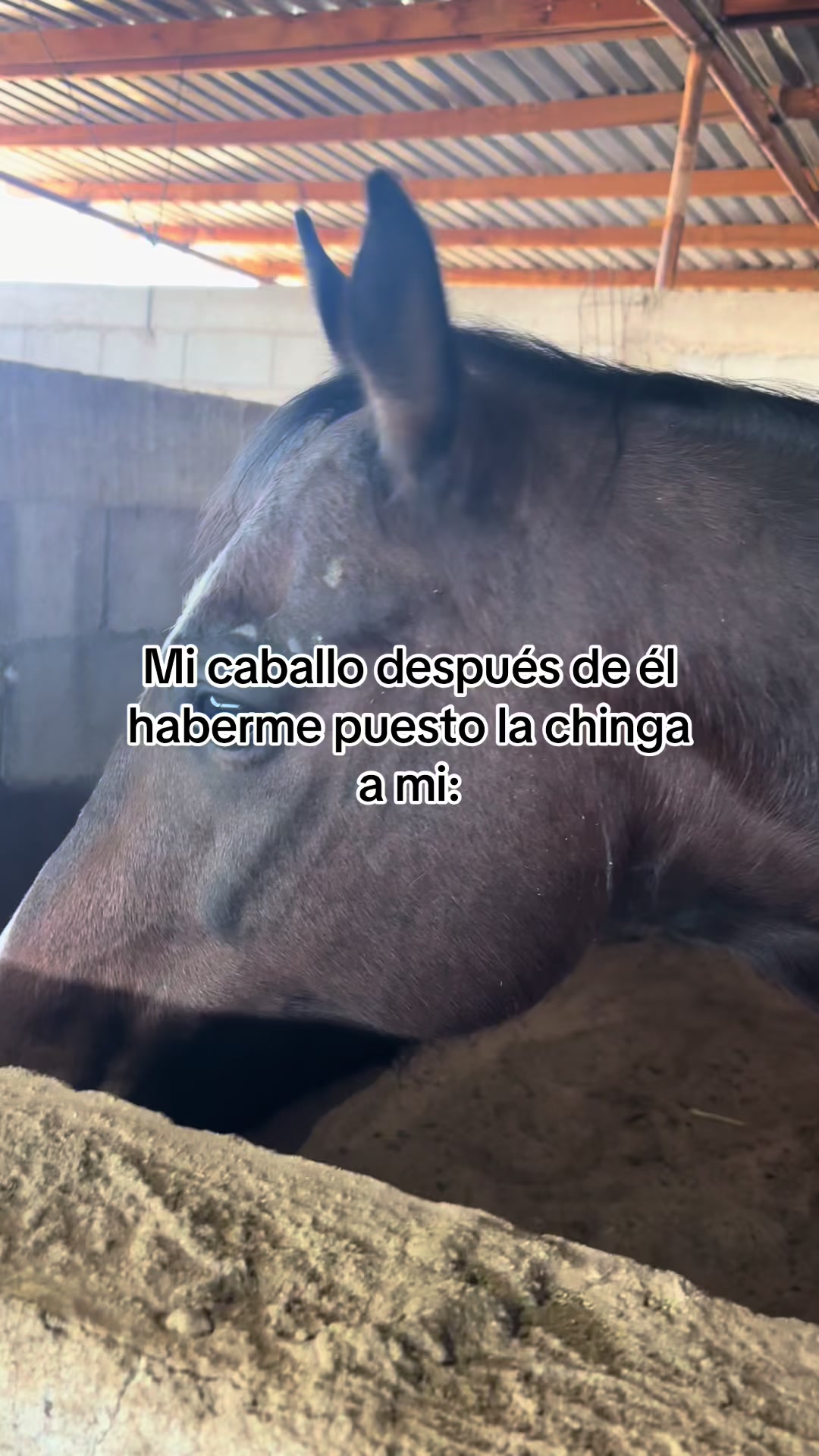 @Grethel Hernández