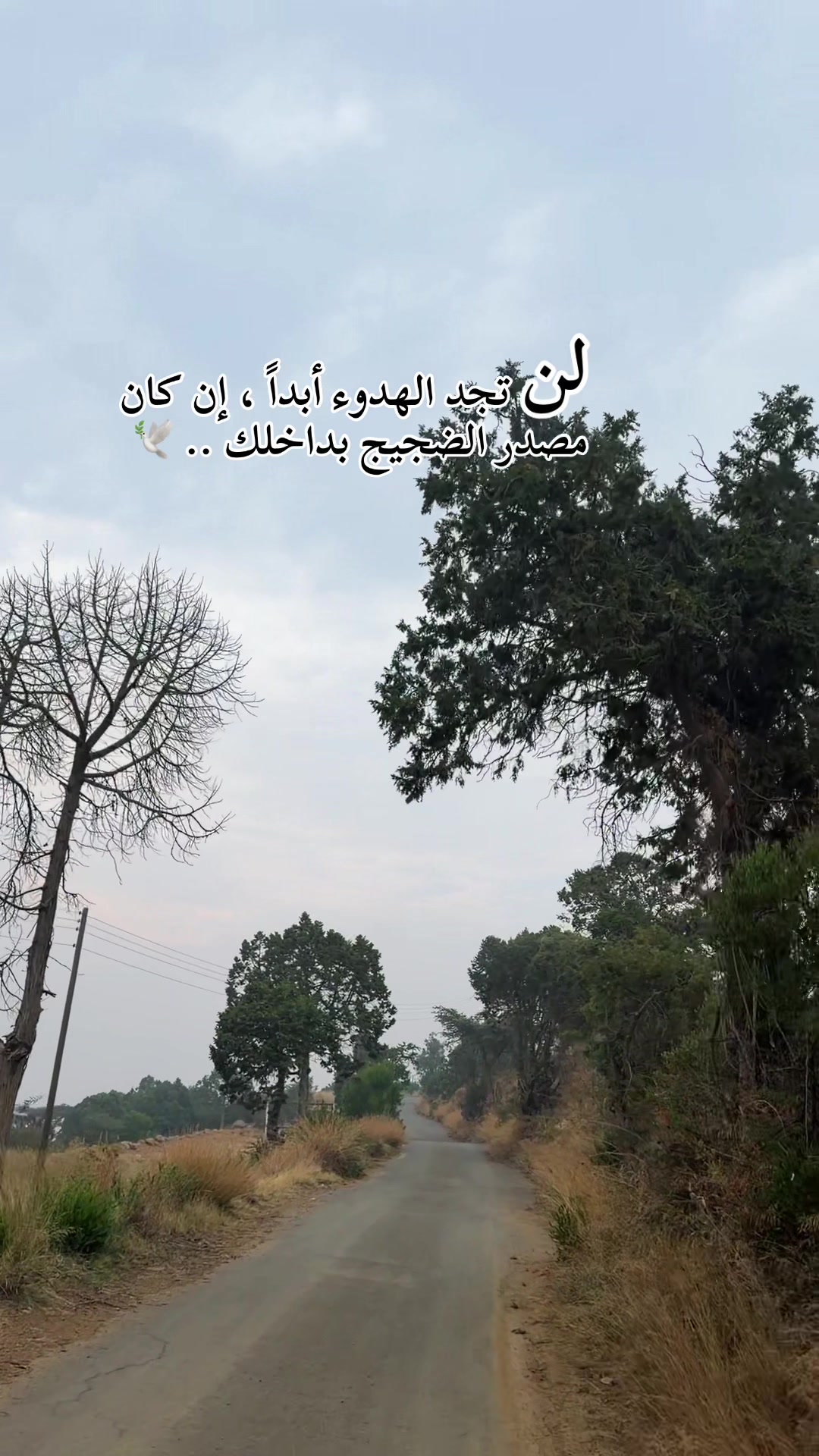 @بنت الطبيعة 🍃🕊️