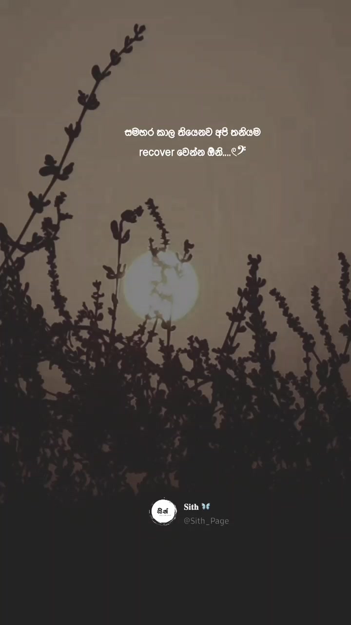@𝙎 𝙞 𝙏 𝙃 𓏲𝄢