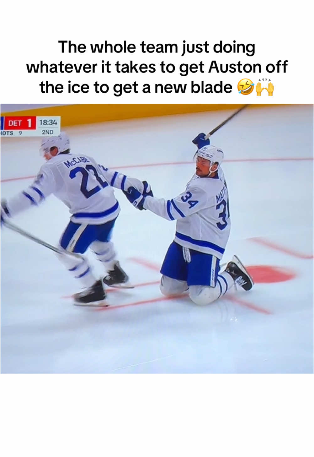 @LeafsLexi 🇨🇦