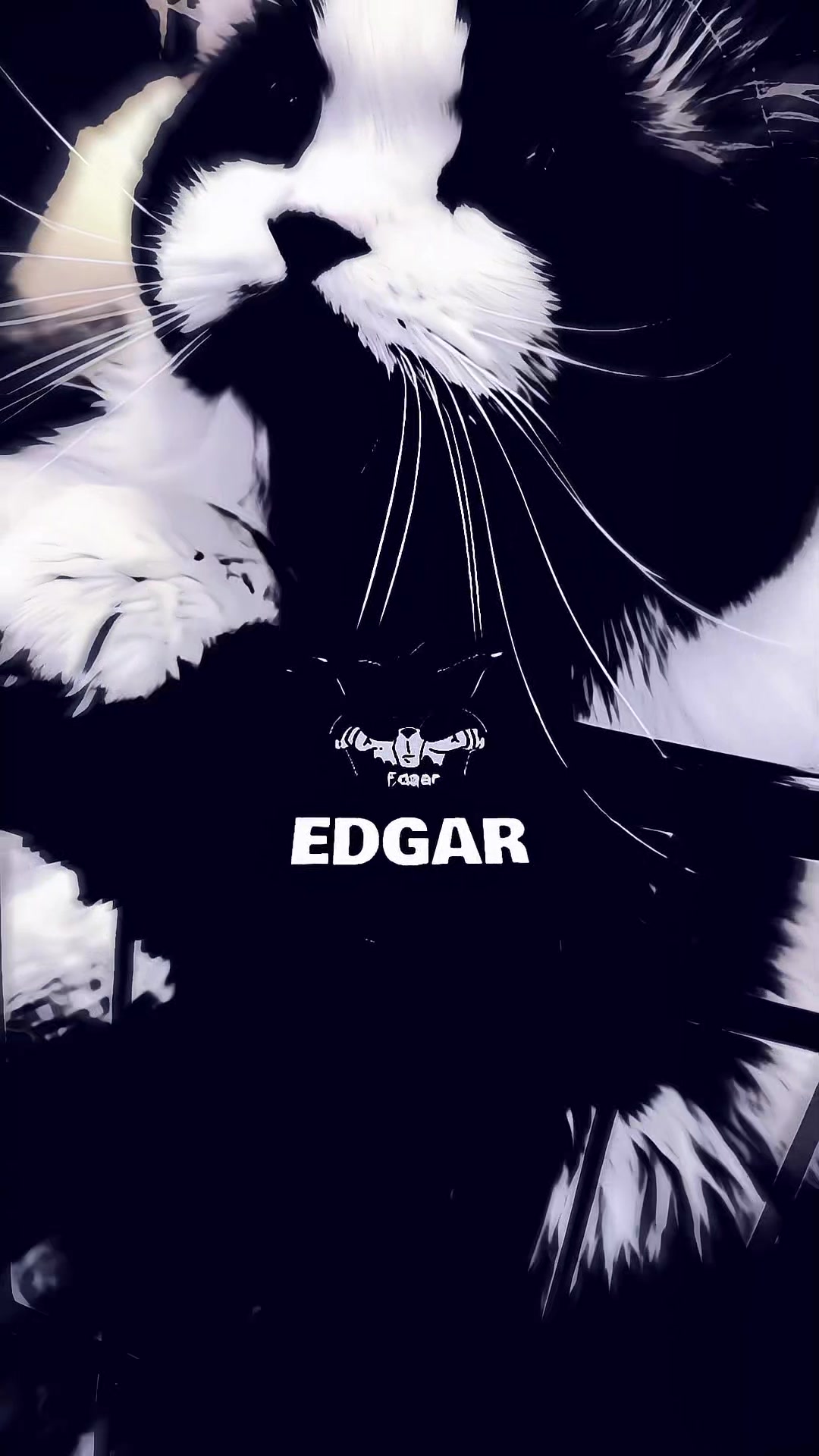 @ʏᴏʀᴜᴄʜɪᥫ᭡