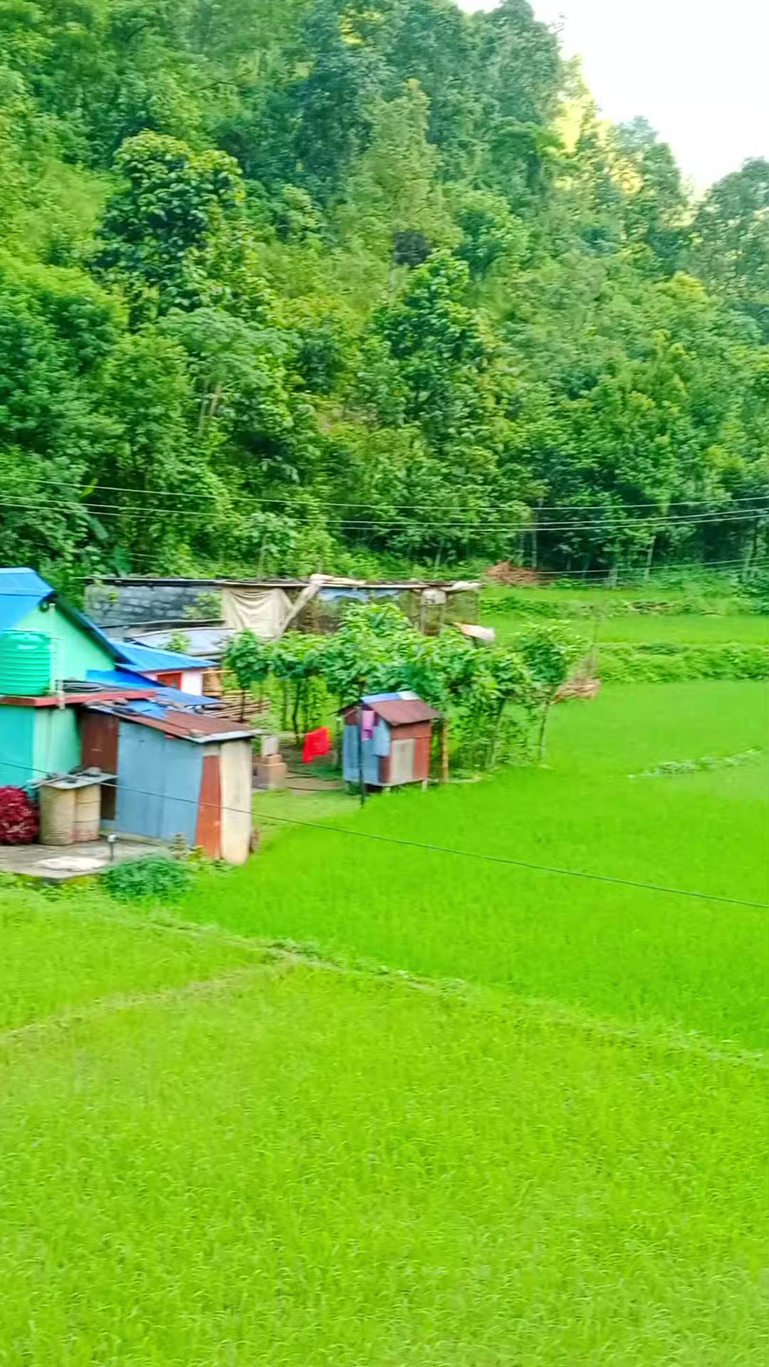 @Krishna Adhikari