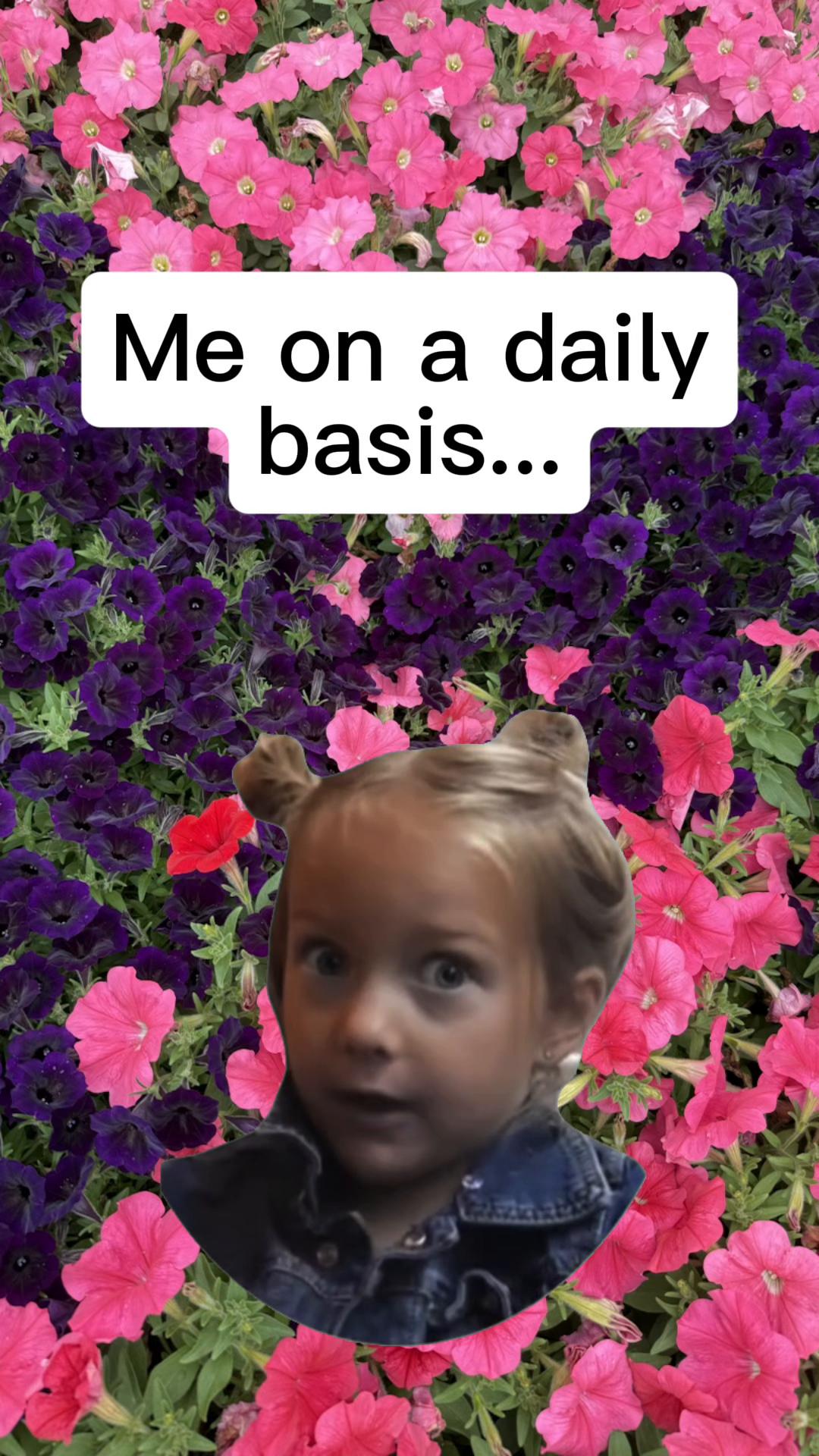 @🫶🏼𝕂𝕚𝕂𝕚🫶🏼
