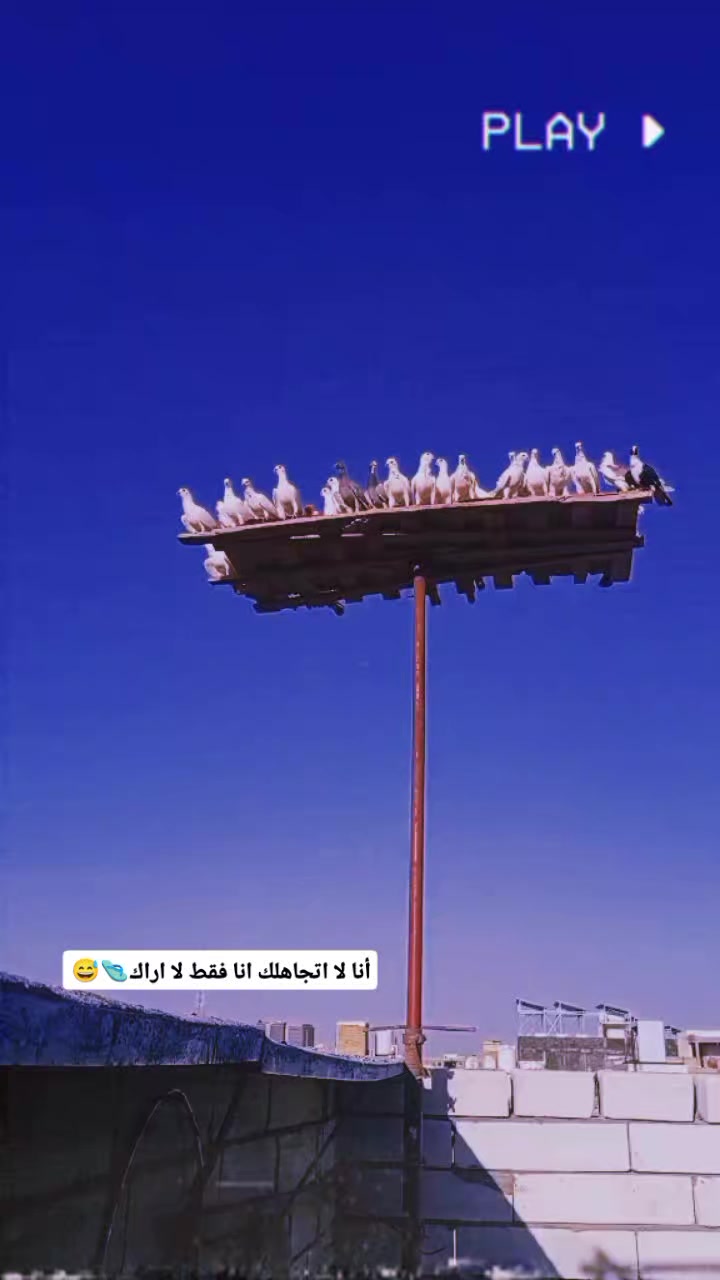 @الہٰٖسہٰٖلہٰٖفہٰٖر ۦٰٰٰ